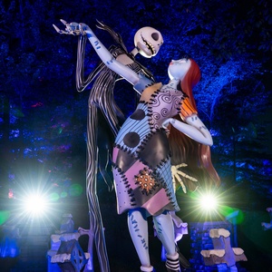Video/Photos: THE NIGHTMARE BEFORE CHRISTMAS Light Trail Opens at the New York Botani Video