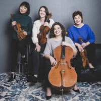 Cassatt String Quartet To Return To Seal Bay Festival Of American Chamber Music in July Photo