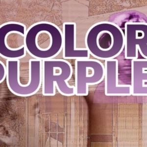 Black Theatre Troupe to Bring THE COLOR PURPLE To Tempe Center For The Arts Photo