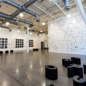 Grounds For Sculpture Presents SHANTELL MARTIN: PAST, PRESENT, FUTURE Photo