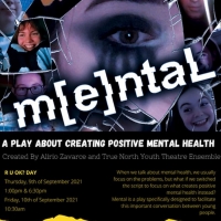 MENTAL Will Return to Schools and the Marion Cultural Centre This Year Photo