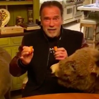 VIDEO: Arnold Schwarzenegger Posts Coronavirus Message With His Ponies Video