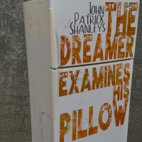 BWW Review: John Patrick Shanley's THE DREAMER EXAMINES HIS PILLOW Delivers a Captiva Video