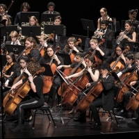 Santa Barbara Youth Symphony Concerto Competition Is Now Open For Auditions