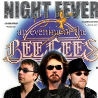 Rotary Rocks Raue Center to Present NIGHT FEVER A BeeGees Tribute