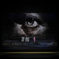 The Metropolitan Opera's DER FLIEGENDE HOLLANDER to Be Screened in HD at The Ridgefie Video