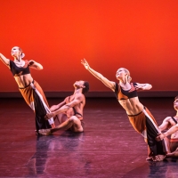 Martha Graham Dance Company Announces All-New Virtual Programming for January 2021 Photo