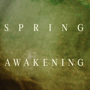 SPRING AWAKENING Off-Broadway Revival Extends Through April Photo