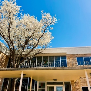 Student Blog: Tuna Fish is Tasty but it Wont Sustain Me Photo