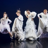THIS IS NOT A WEDDING Will Tour From September Photo