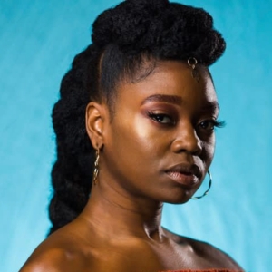 Interview: Houston native GIGI LEWIS of TINA - THE TINA TURNER MUSICAL at HOBBY CENTE Interview