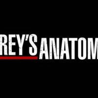 GREY'S ANATOMY Season 16 Cut Short; Final Episode to Air April 9 Video