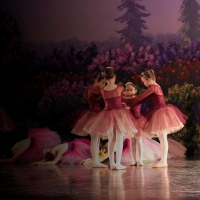 Ballet Theatre Of Phoenix Announces Summer Intensive And Fall Training Programs