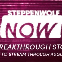 Two days left to get 50% off a Steppenwolf NOW virtual membership Photo