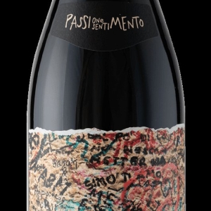 PASQUA Wine-An Accessible and Pleasurable Selection Made for Lovers Photo