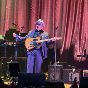 Review: ELVIS COSTELLO'S RADIO SOUL TOUR at Palace Theatre Photo