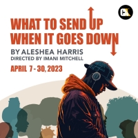Celebration Arts Presents WHAT TO SEND UP WHEN IT GOES DOWN By Aleshea Harris