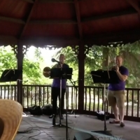 VIDEO: Montreal Symphony Orchestra Performs Outdoor Pop-Up Shows Photo