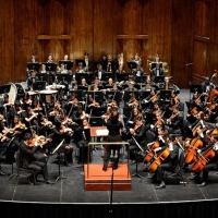 New Jersey Youth Symphony to End Season With Saint-Saëns' Organ Symphony Photo