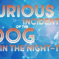 Manoa Valley Theatre Presents THE CURIOUS INCIDENT OF THE DOG IN THE NIGHT-TIME