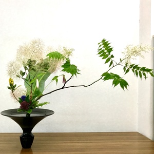 Morikami Museum and Japanese Gardens Unveils December Programming