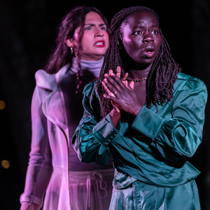 LEAR and MERRY WIVES Set for Shakespeare in the Woods 2026 Season Photo