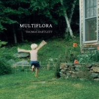 Thomas Bartlett Reveals New Song 'Multiflora' Photo