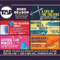 DRIVING MISS DAISY, ANYONE CAN WHISTLE and More Announced in Third Avenue Playhouse…