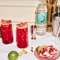 TEQUILA CAZADORES Toasts the New Year with Go-to Cocktail Recipes Photo