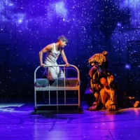 Review: LIFE OF PI, Wyndham's Theatre Video