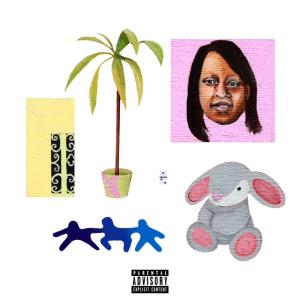 Che Noir Releases Havoc-Produced Single, Announces IT TAKES A VILLAGE Album Photo