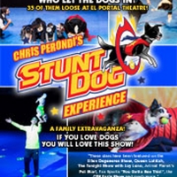 El Portal Theatre Kicks Off 2020 With Ice Skating On Stage, 35 Stunt Dogs And More!