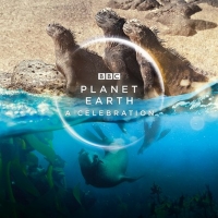 BBC America Brings Harmony To Homes This Summer With PLANET EARTH: A CELEBRATION Photo