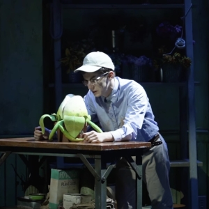 Video: Andrew Barth Feldman Sings Grow For Me in LITTLE SHOP Photo