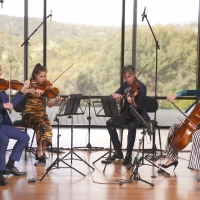 Australian String Quartet Celebrates AusMusic Month with Two New Releases Photo