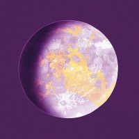 SALOME Comes To Opera Zurich Beginning August 29th