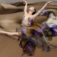 VIDEO: Iris Van Herpen and Dutch National Ballet Present BIOMIMICRY
