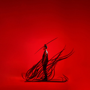 Dancehouse Will Present Hung Dance In BIRDY Vancouver Premiere Photo