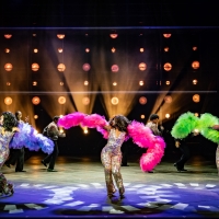 Review: DREAMGIRLS at Paramount Theatre