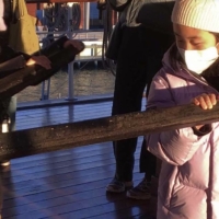 South Street Seaport Museum Announces Crew and Cargo Video