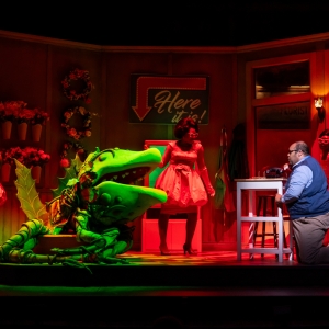 Review: LITTLE SHOP OF HORRORS at Ford's Theatre Photo