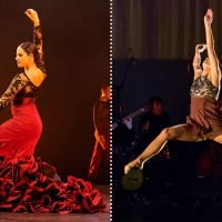 MADE IN CHICAGO Dance Series Kicks Off With Ensemble Español And Cerqua Rivera Video