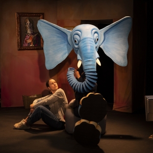 EDINBURGH 2023: THE SLIGHTLY ANNOYING ELEPHANT, Debating Hall At Gilded Balloon Tevio Photo
