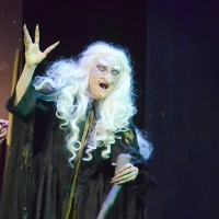BWW Review: Sondheim's INTO THE WOODS is Wowing Audiences at Palm Canyon Theatre.