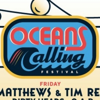 Cyndi Lauper, Alanis Morissette & More to Play Oceans Calling Festival Photo