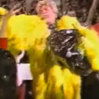 Video Roundup: A Look Back on Rip Taylor's Television Appearances Video