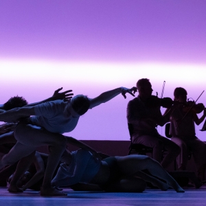 Review: SYDNEY DANCE COMPANY: IMPERMANENCE at The Kennedy Center Interview