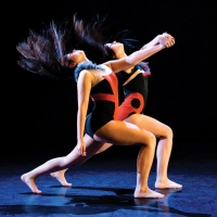 Kennesaw State Department of Dance Presents DOUBLE EXPOSURE Photo