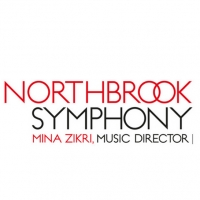 Chicago's Northbrook Symphony Receives $1 Million Endowment Gift Video