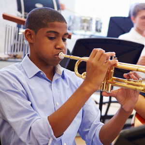 American Youth Chamber Orchestra to Bring Band & Orchestra Clinics to Chicago Schools Photo